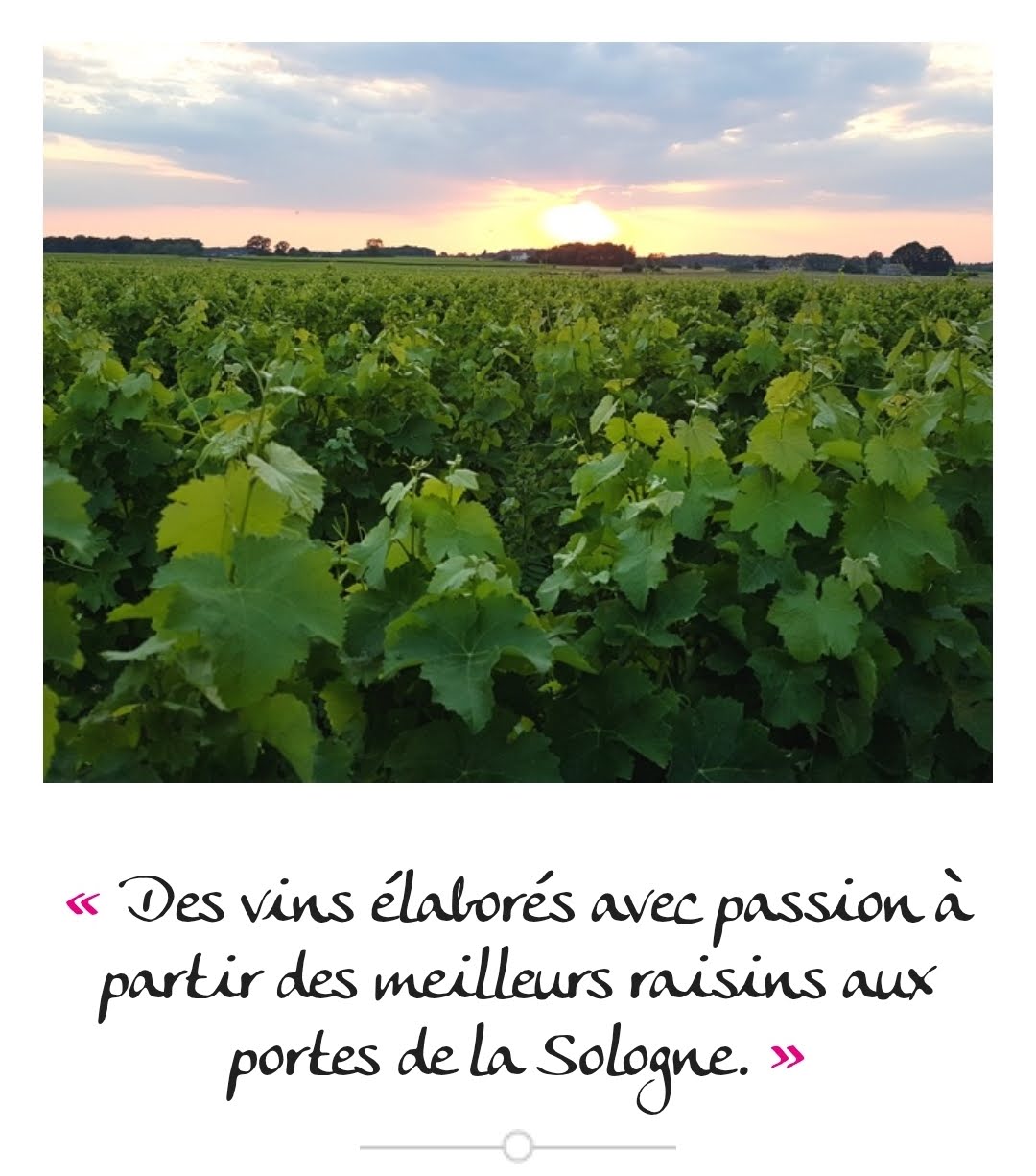 Divin Loire